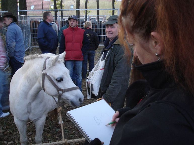zuidlaardermarkt Horse fair art 14