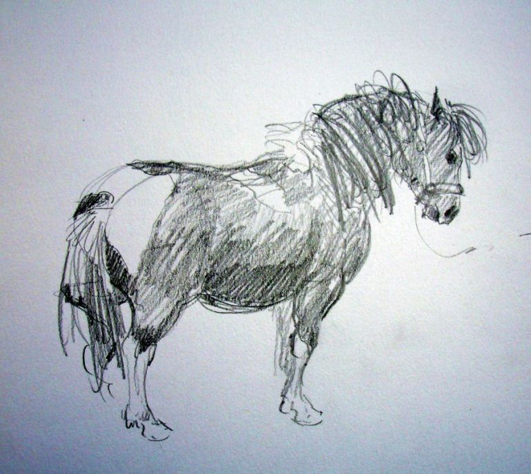 zuidlaardermarkt Horse fair art sketch10