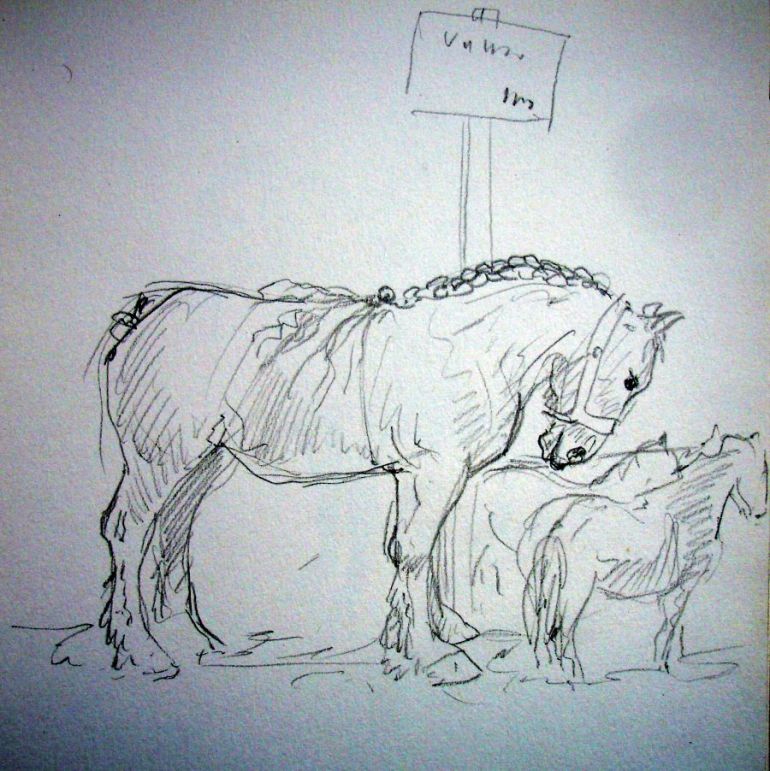 zuidlaardermarkt Horse fair art sketch12