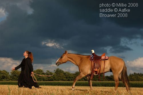 American Eagle saddle horse aafke art