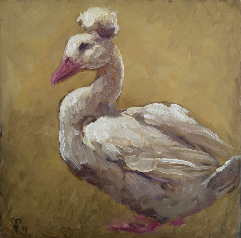 Duck oil painting aafke art